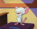 Скриншот 2: Пинки и Брейн / Pinky and the Brain (1995-1998)