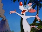 Скриншот 3: Пинки и Брейн / Pinky and the Brain (1995-1998)