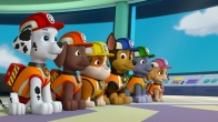 Скриншот 3: Щенячий патруль / PAW Patrol (2013-2021)