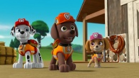 Скриншот 4: Щенячий патруль / PAW Patrol (2013-2021)