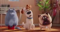 Скриншот 1: Тайная жизнь домашних животных / The Secret Life of Pets (2016)