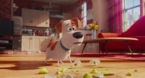 Скриншот 2: Тайная жизнь домашних животных / The Secret Life of Pets (2016)