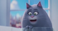 Скриншот 4: Тайная жизнь домашних животных / The Secret Life of Pets (2016)