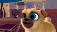 Скриншот 2: Дружные мопсы / Puppy Dog Pals (2017-2022)