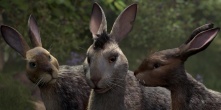 Скриншот 2: Обитатели холмов / Watership Down (2018)