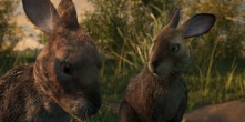 Скриншот 3: Обитатели холмов / Watership Down (2018)