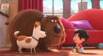 Скриншот 1: Тайная жизнь домашних животных 2 / The Secret Life of Pets 2 (2019)