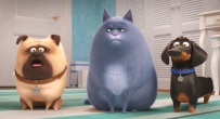 Скриншот 3: Тайная жизнь домашних животных 2 / The Secret Life of Pets 2 (2019)