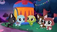 Скриншот 4: Маленький зоомагазин: Тайный мир питомцев / Littlest Pet Shop: A World of Our Own (2017-2018)